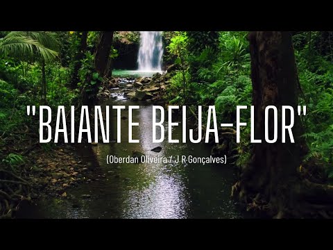 BAIANTE BEIJA-FLOR