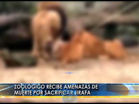 RESUMEN NOTICIAS INTERNACIONALES LUNES 10 FEBRERO 2014