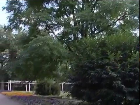 Allianz Umweltstiftung - Sanierung des Brühler Gartens in Erfurt