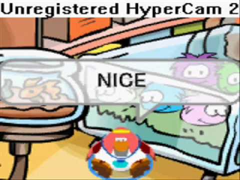 NICE KITTY song - Club Penguin style