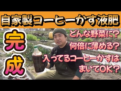 ラズベリー用のコーヒー粕：思い切って肥料に！それを最大限に活用するにはどうすればよいでしょうか?  庭園