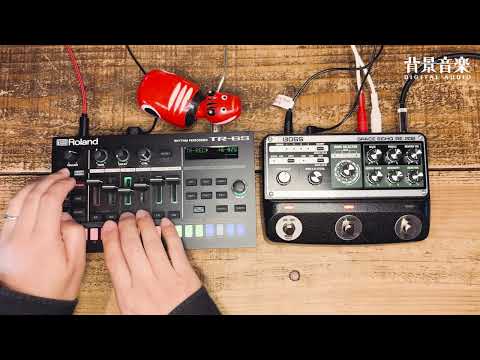 Roland TR-6S, BOSS SPACE ECHO RE-202