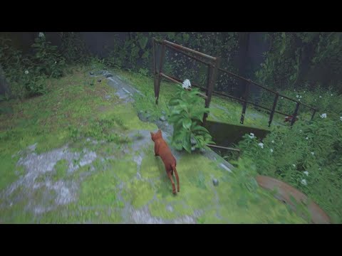 Stray-прохождение часть 1