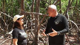 PROJETO ROTA DOS CORAIS Turismo Regenerativo, Educação Ambiental e Sustentabilidade.