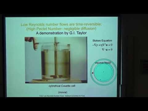 RANDOM ORGANIZATION, HYPERUNIFORMITY AND PHOTONIC BANDGAPS by Prof.  Paul Chaikin