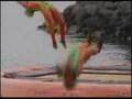 Acrobatic Crashes Theme Park Cirque Fail