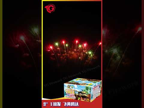 TG -9''138V 飞黄腾达 /Fei Huang Teng Da