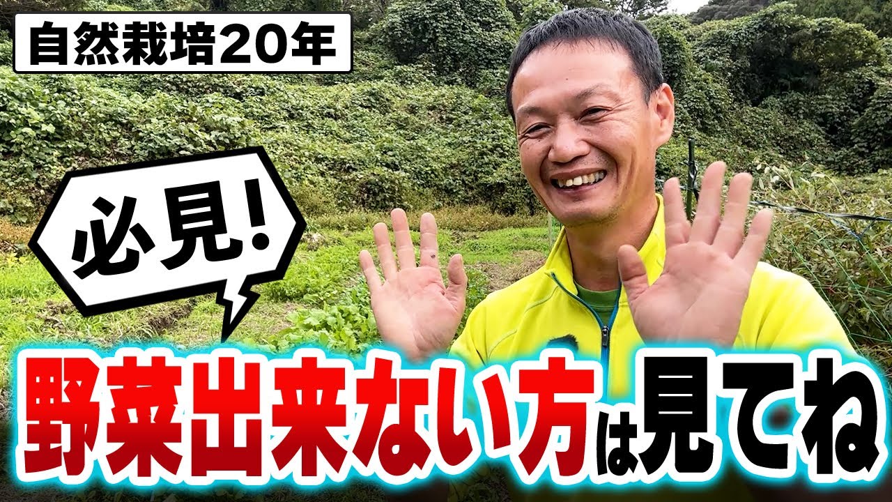 【自然栽培398】自然農法をされている方、誇りに思ってください!野菜が出来ない方、心配いりません!