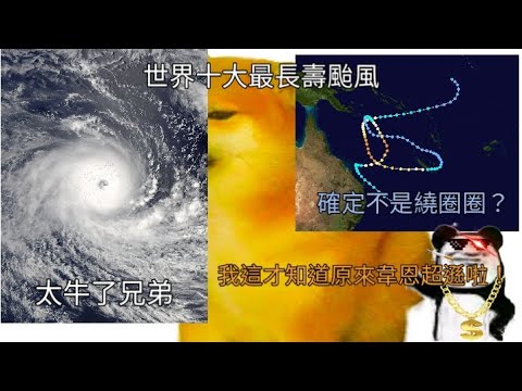 長壽颱是什麼