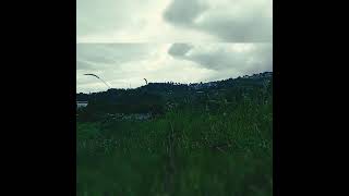 Download lagu story the spirit carries on Dream Theater mp3