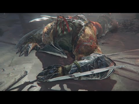 Can't stop playing Lords of the Fallen - Champion no damage fight