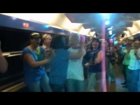 Partyzug von Schlagermove aus Hamburg nach Nürnberg 12 Juli 2015 (3)