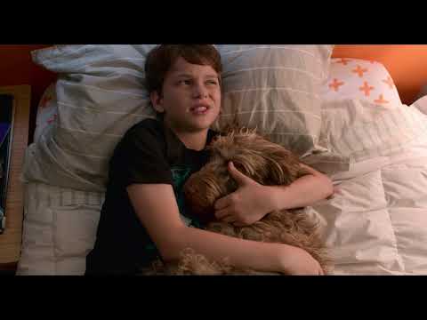 Think Like a Dog (Clip 'Best Friends')