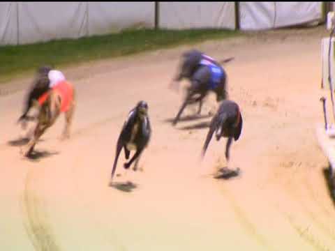 Romford 19/01/2018 “Coral Coronation Cup Final”