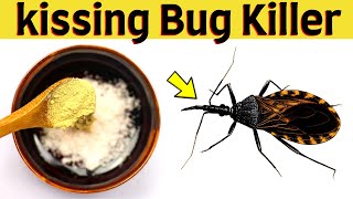 How to get rid of kissing bug naturally outside of the house