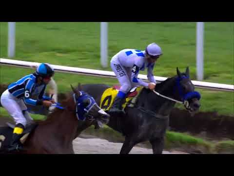 220205 c02 - LA DIEZ - HIPODROMO DE MAROÑAS