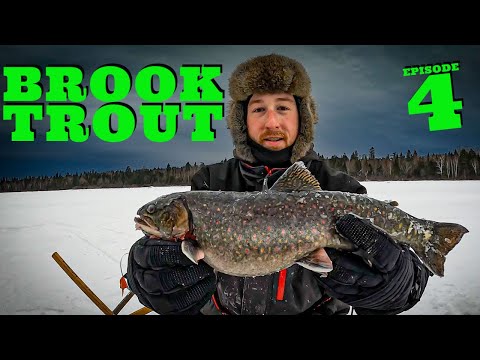 Chamberlain Lake Camping: Day 4: TWO PB NATIVE BROOK TROUT!