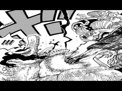 One Piece Wiki Anime Amino One Piece Wiki Anime Amino