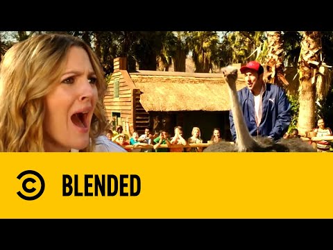 Riding An Ostrich | Blended