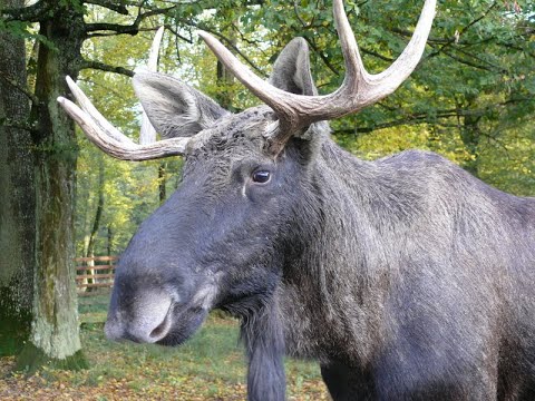 Agroturystyka Dabrowski