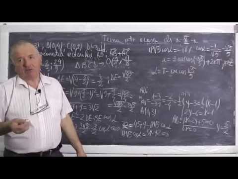 Lectia 446 - Vectori - Probleme diverse de geometrie analitica - Tema la matematica - Clasa 10
