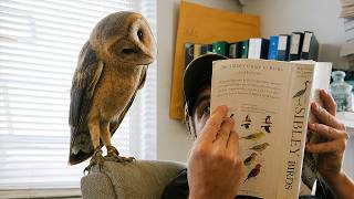 Animals Prove They're Smarter Than We Thought 🤪Funny Animal Videos 2026