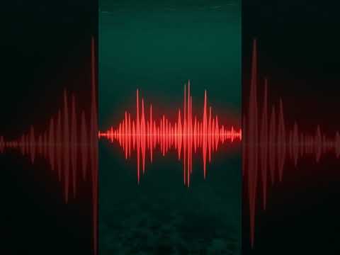 No One Knows What Made This Ocean Sound | The Bloop