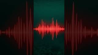 No One Knows What Made This Ocean Sound | The Bloop