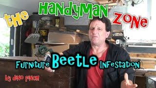 Furniture Beetle... Destroyer