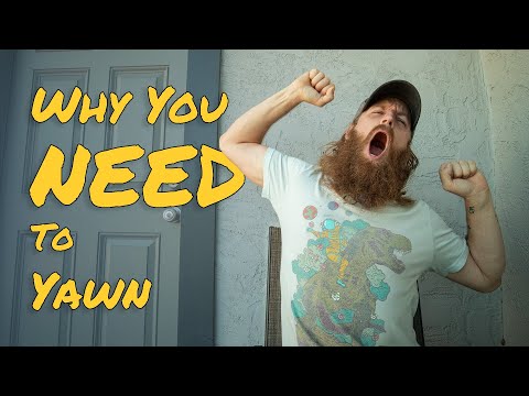 Don't Fight The Yawn - Why You Need To Yawn