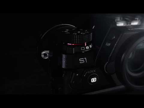 Panasonic LUMIX S1 24.2MP Digital Mirrorless Camera with 24-105mm f/4 Macro OIS Lens