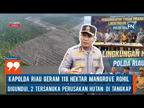 Kapolda Riau Geram 118 Hektar Mangrove Rohil Digundui, Dua Tersangka Perusakan Hutan Ditangkap