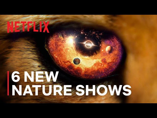 Netflix Пополняет Свой Список Документальных Сериалов Об.