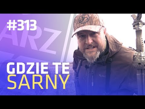 Darz Bór odc 313 - Gdzie te sarny?