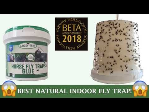 Amazing  Sticky Trap White bucket flytrap