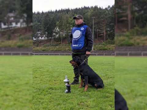 Dana vom Schwarzen Grat Clib DM "Danke Sybille"