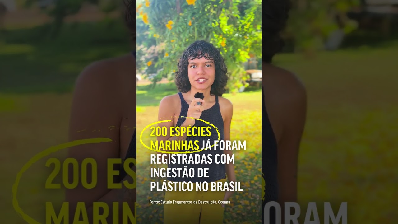 O que falta para avançar contra a poluição por plásticos?
