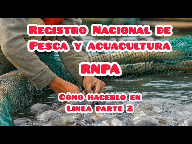 Vídeo relacionado con Libro de registro de pesca de cuero con raíces rústicas diseñado por y para entusiastas de la pesca con plantilla, registra detalles de viaje de pesca, incluyendo fecha, hora, ubicación y condiciones