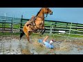 Try Not To Laugh Challenge Impossible Best Fails Of July 2025