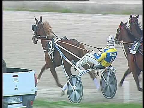 Trotto 25/03/2018 - 5ª corsa