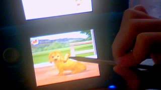 How to get more owner points on nintendogs