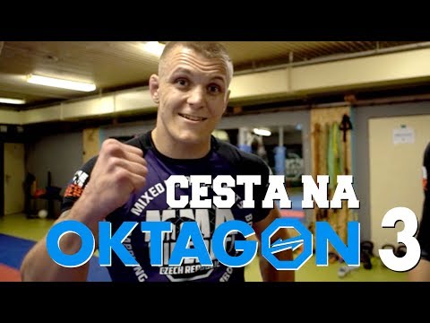 Cesta na Oktagon 3: PAJTINA VS LEJSEK II.