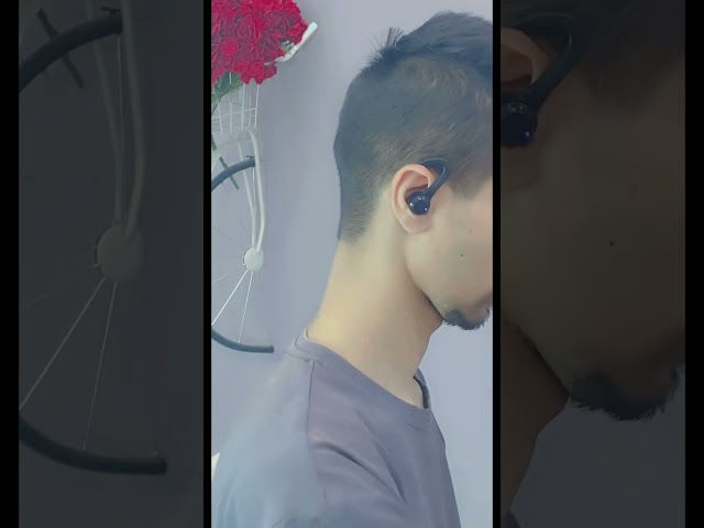 Bluetooth earohone