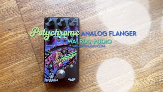 Video thumbnail for Walrus Audio: Polychrome Analog Flanger by Brett Kingman