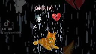 Download lagu SAMPAI HATI... mp3