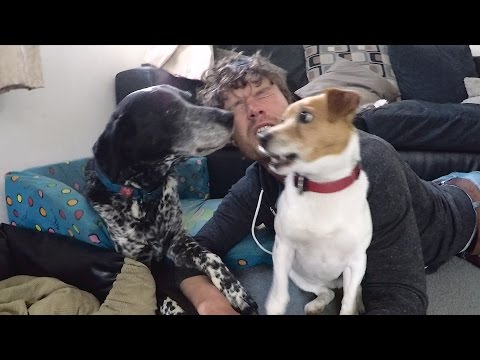 When Animal Selfies Go Wrong - Allan Dixon and a Crazy Dog - #DaxonsAnimalSelfies 001