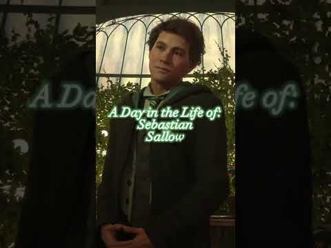 A Day in the Life of: Sebastian Sallow