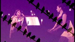 Birds On a Wire | Rosemary's songbook