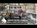 RABBIT FARMING ON A HOME SCALE SMALL CAPITAL BIG PROFIT