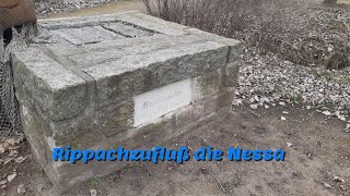 Rippachzufluß die Nessa